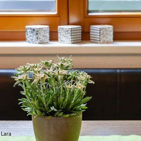 Appartement Lara & Lea Zell am Ziller Exterior photo